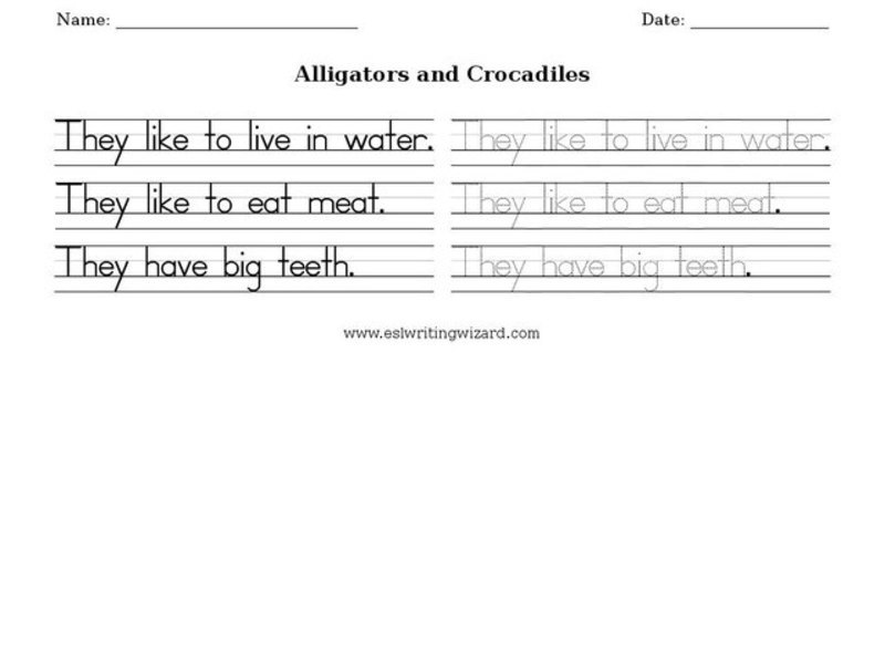 Alligators and Crocodiles Worksheet