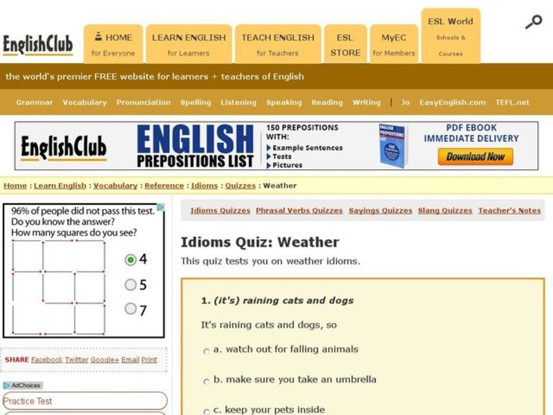 Idioms Quiz:  Weather Interactive