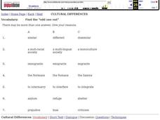 Cultural Differences Vocabulary Lesson Plan