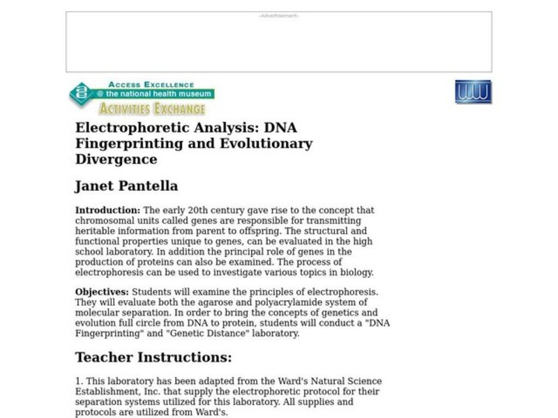 Electrophoretic Analysis: DNA Fingerprinting and Evolutionary Divergence Lesson Plan