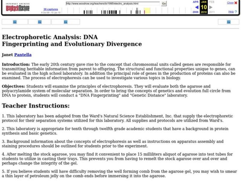 Electrophoretic Analysis: DNA Fingerprinting and Evolutionary Divergence Lesson Plan
