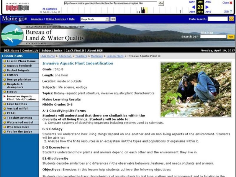 Invasive Aquatic Plant Identification Lesson Plan