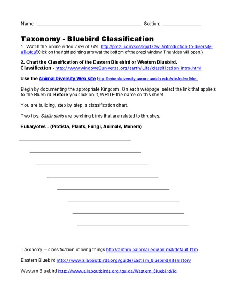 Taxonomy - Bluebird Classification Interactive