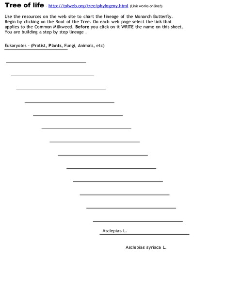 Tree of Life: monarch butterfly Interactive