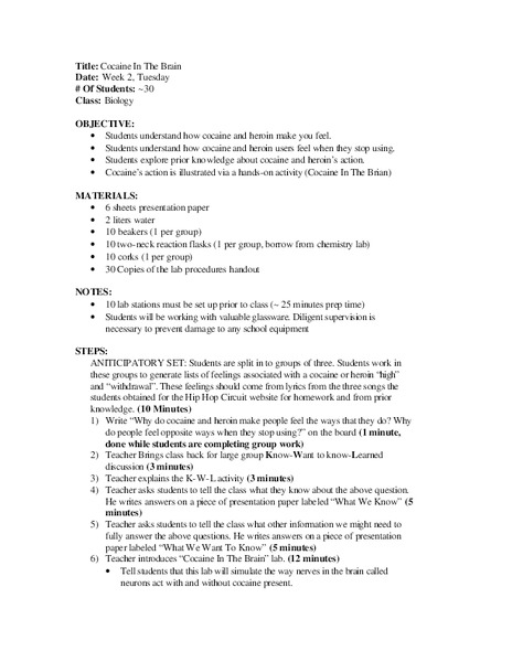Cocaine in the Brain Lesson Plan