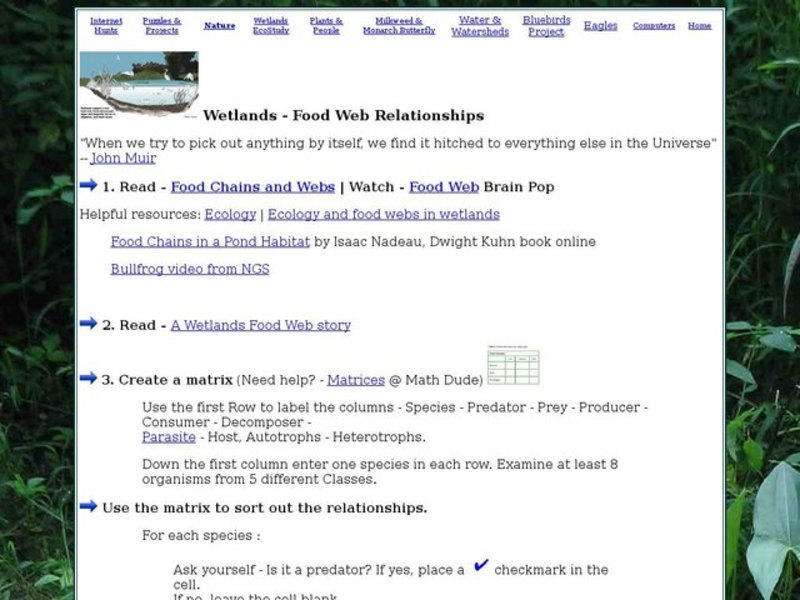Wetlands - Food Web Relationships Interactive