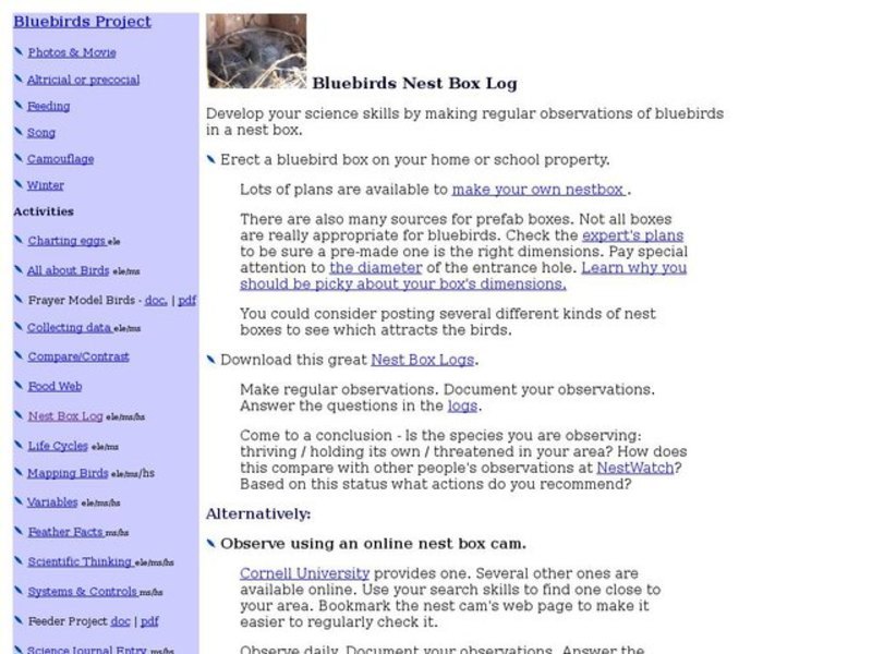 Bluebirds Nest Box Log Interactive