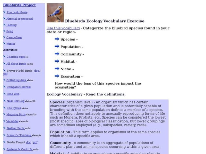 Bluebirds Ecology Vocabulary Exercise Interactive
