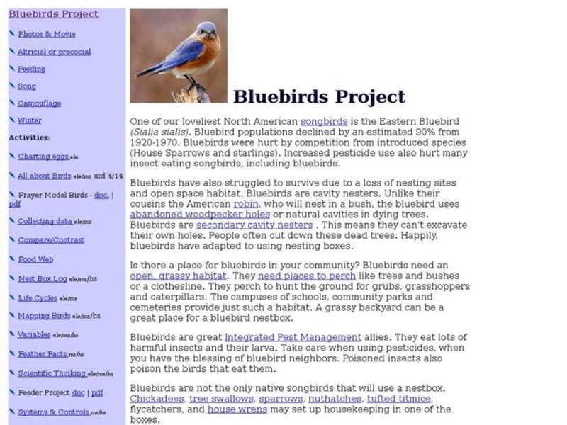 Blue birds Project Lesson Plan