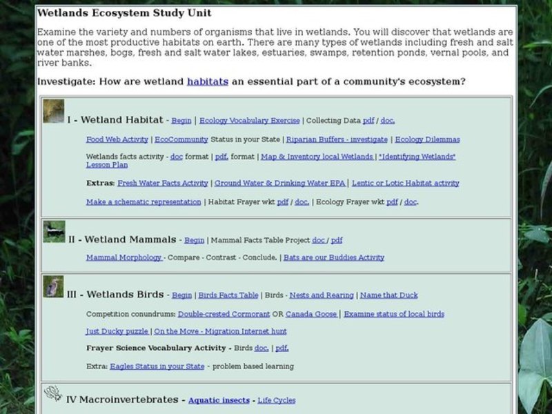 Wetlands Ecosytem Study Unit Interactive