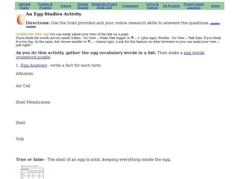 An Egg Studies Activity Interactive