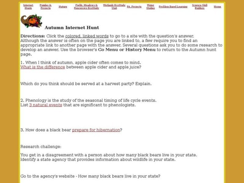 Autumn Internet Hunt Interactive