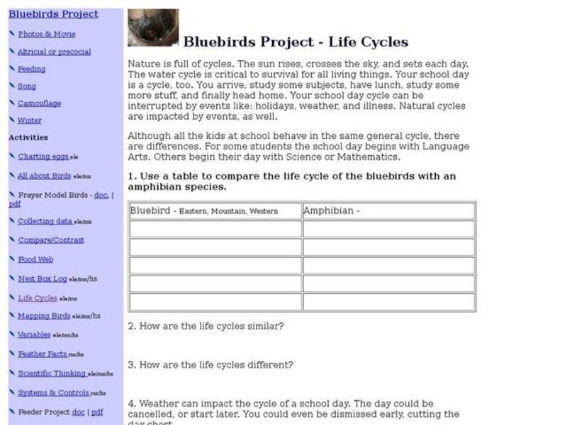 Bluebirds Project - Life Cycles Worksheet