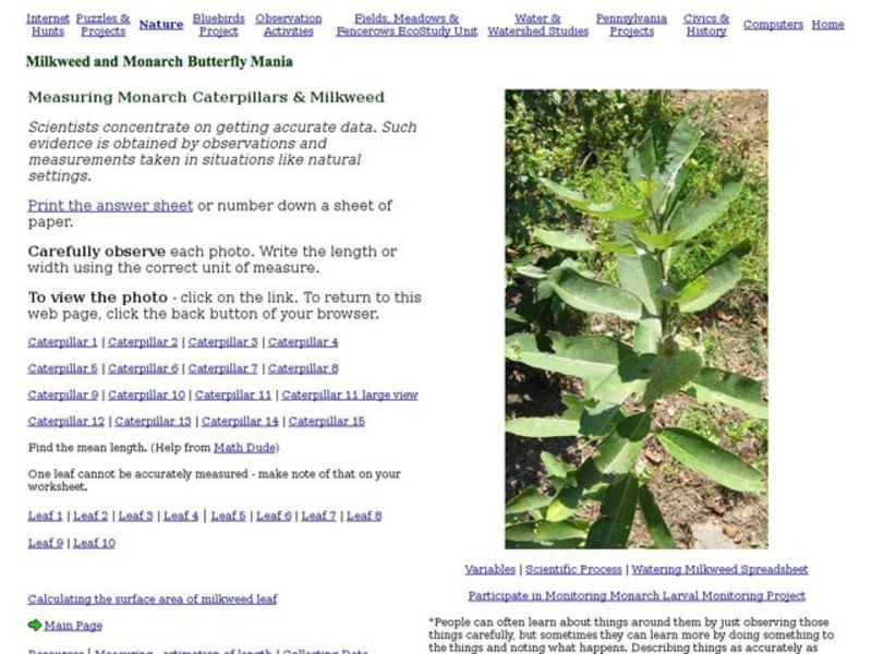 Milkweed and Monarch Butterfly Mania:  Measuring Interactive