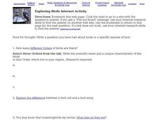 Exploring Birds Internet Activity Interactive