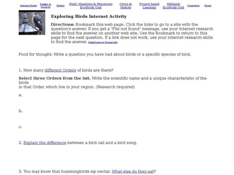 Exploring Birds Internet Activity Interactive