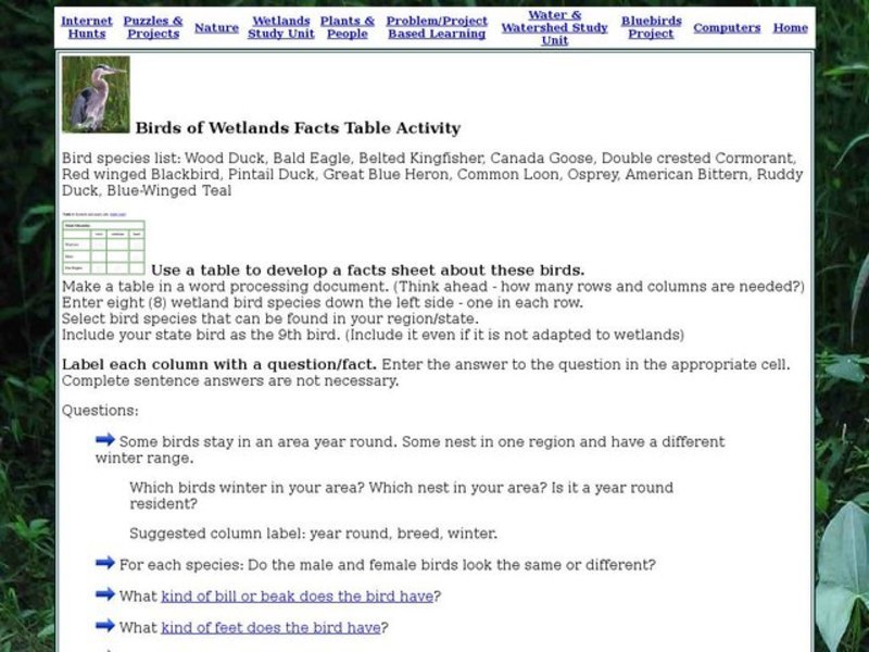 Birds of Wetlands Facts Table Activity Interactive