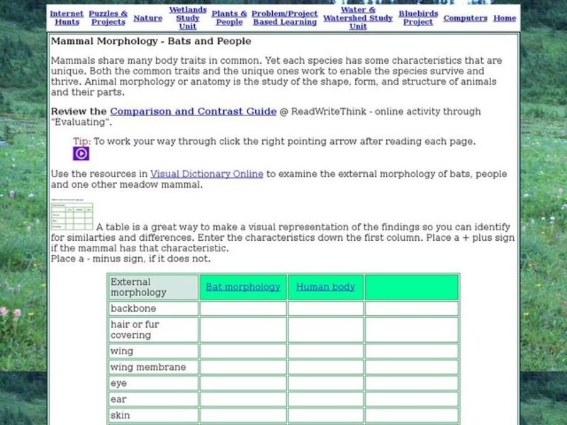 Mammal Morphology: bats and people Interactive
