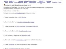 Butterfly and Moth Internet Hunt part 2 Interactive