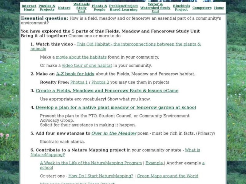 Understanding Community Environment Interactive