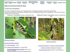 Comparing Caterpillars Interactive