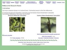 Milkweed and Monarch Mania Interactive