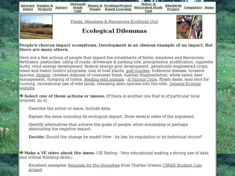 Ecological Dilemmas Worksheet