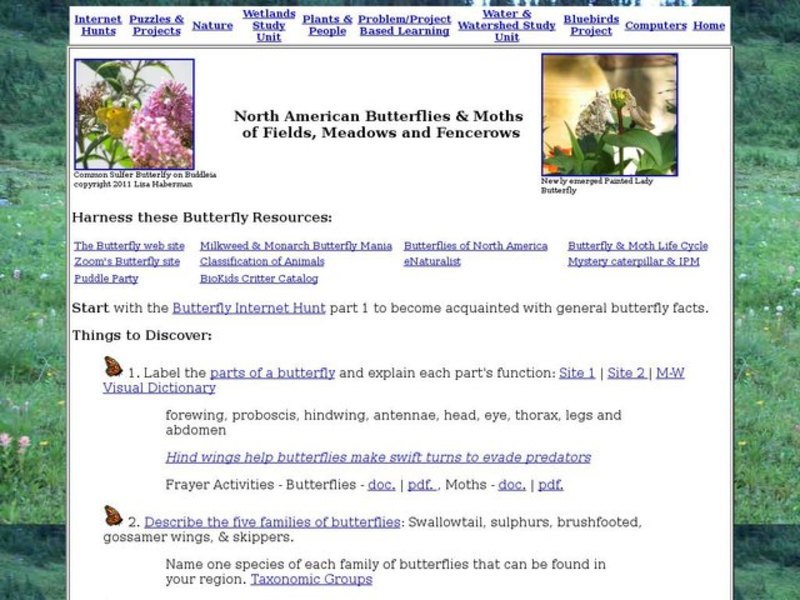 North American Butterflies and Moths of Fields, Meadows, and Fencerows Interactive