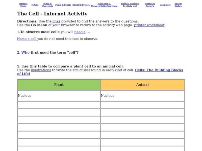 The Cell - Internet Activity Interactive