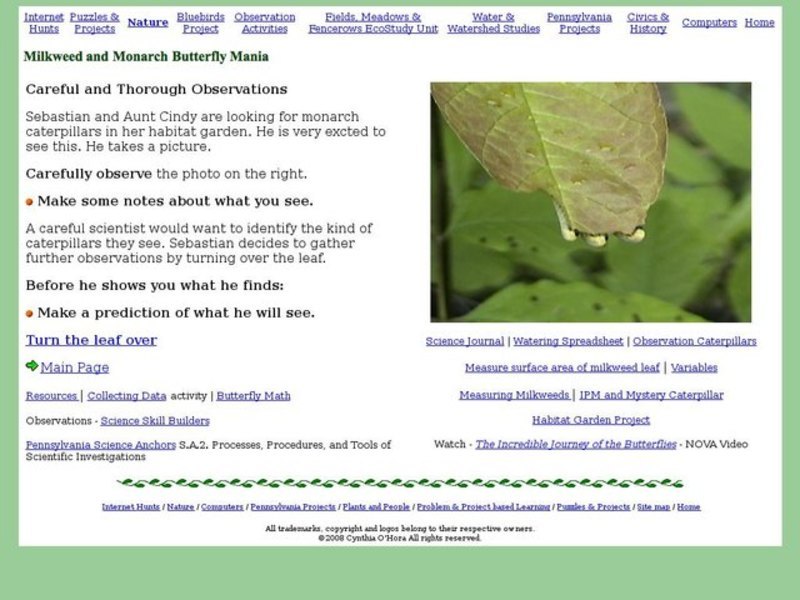 Milkweed and Monarch Butterfly Mania Observations Interactive