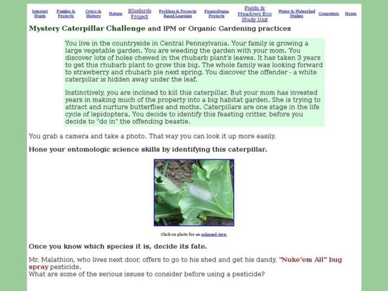 Mystery Caterpillar Challenge and IPM or Organic Gardening Practices Interactive