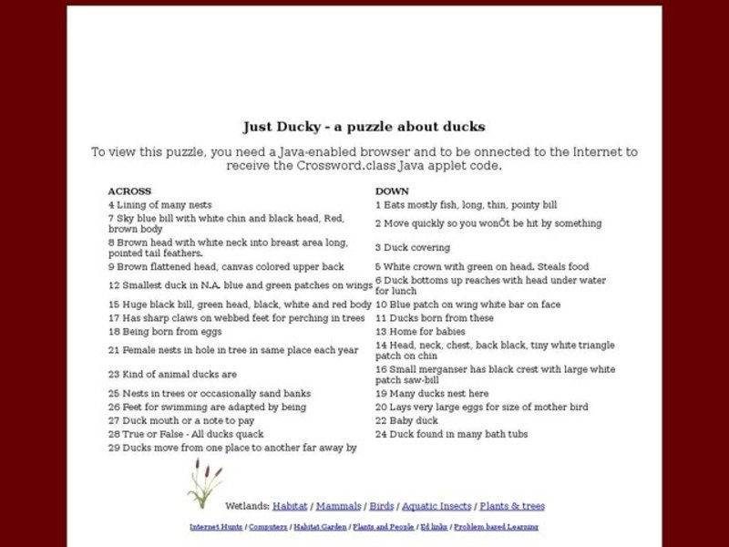 Just Ducky - a puzzle about ducks Interactive