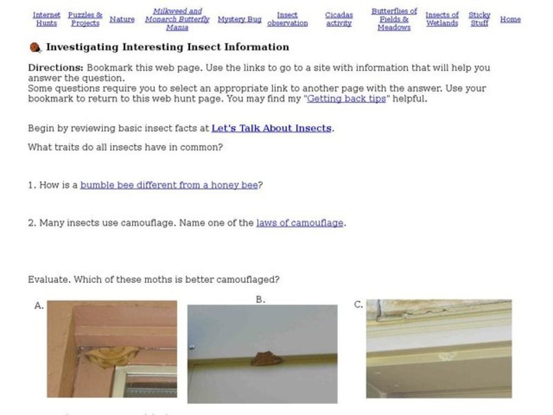 Investigating Interesting Insect Information Interactive