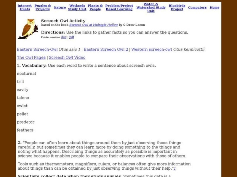 Eastern Screech Owl Interactive