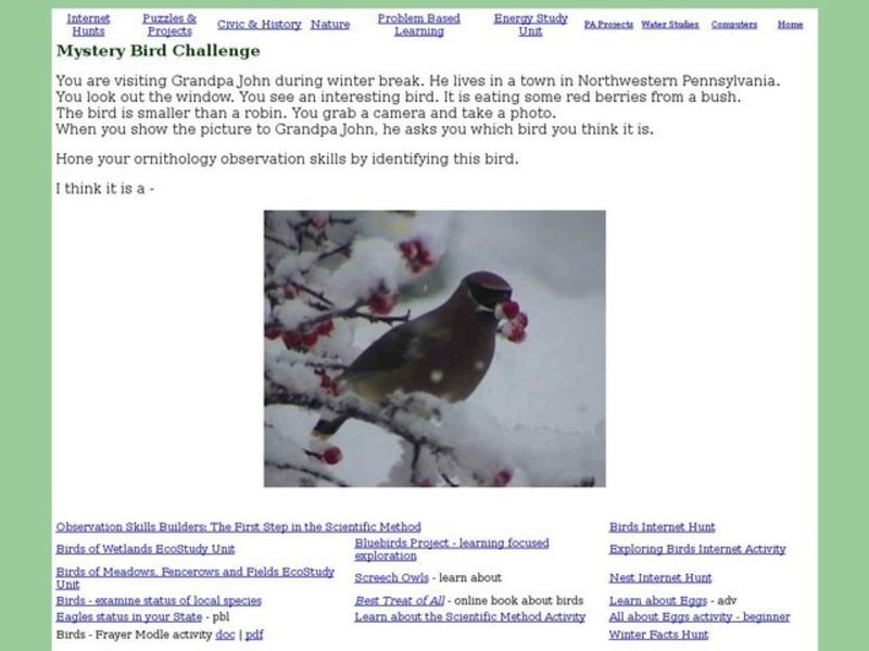 Mystery Bird Challenge Interactive