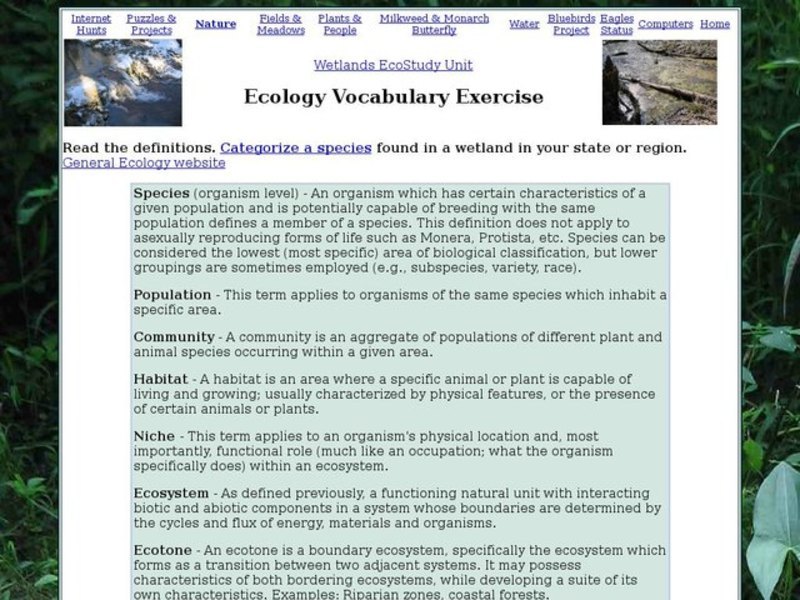 Ecology Vocabulary Exercise:  Wetlands Interactive