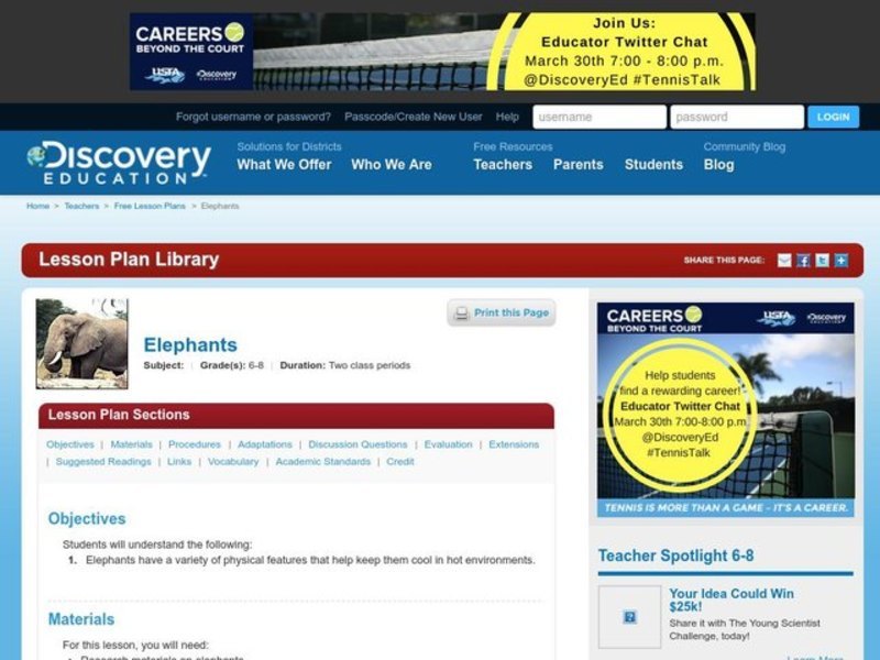 Elephants Lesson Plan