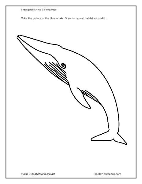 Endangered Animal Coloring Page Worksheet