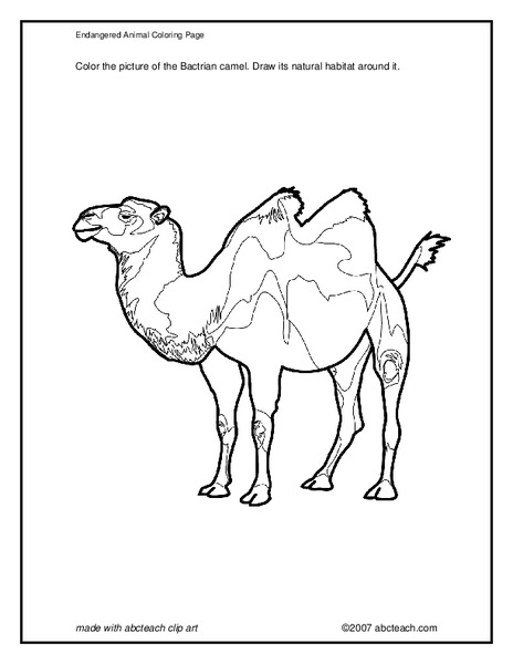 Endangered Animal Coloring Page Worksheet