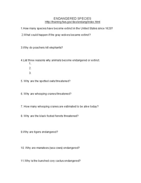 Endangered Species Worksheet