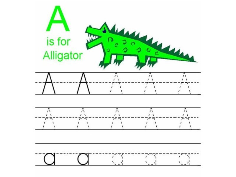 A IS FOR ALLIGATOR Worksheet