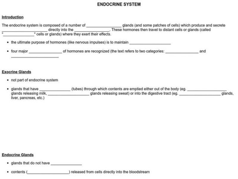 Endocrine System Worksheet