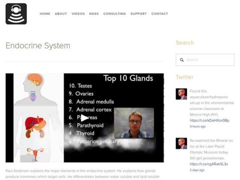 Endocrine System Instructional Video