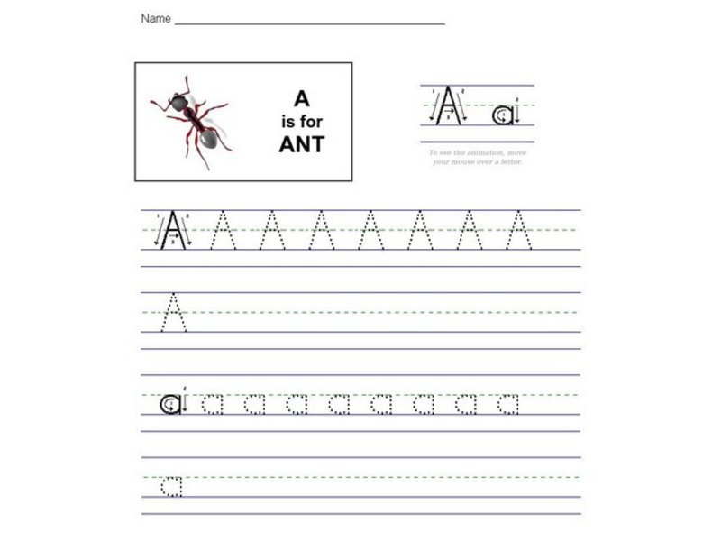 A is for Ant Worksheet