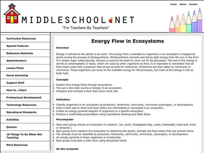 Energy Flow in Ecosystems Lesson Plan