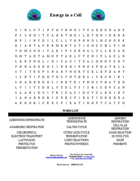 Energy in a Cell Worksheet