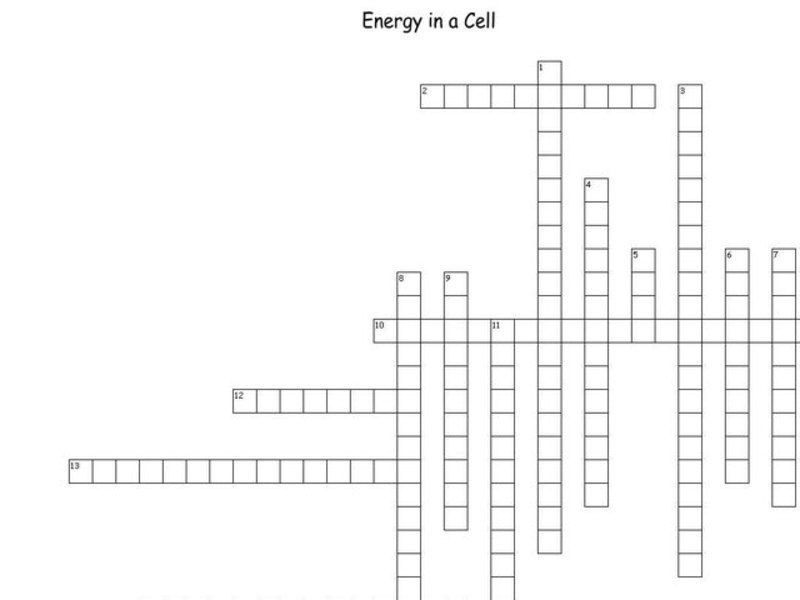 Energy in a Cell Worksheet