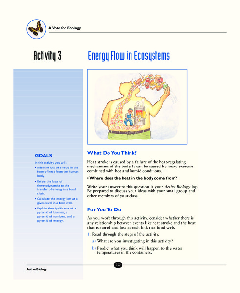 Energy Flow in Ecosystems Activity