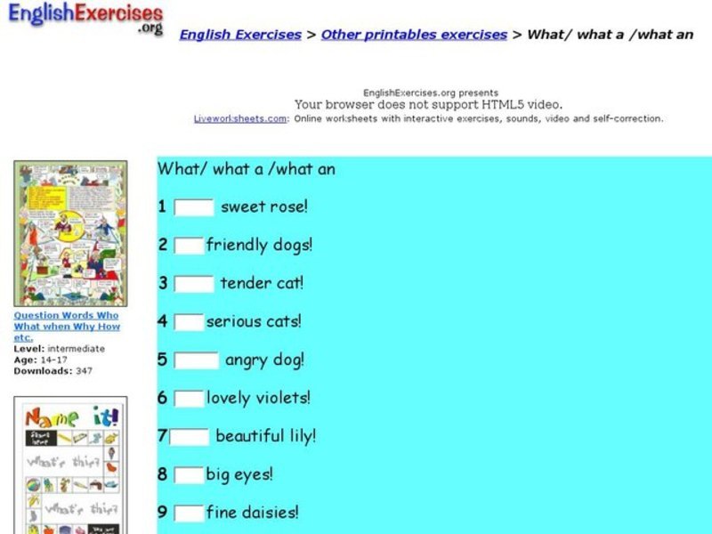 English Exercises:  Using What in an Exclamation Interactive