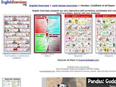 English Exercises:  Verb Tense and Pandas Interactive
